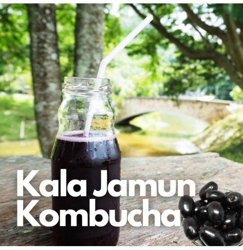 *Kombucha - KALA JAMUN - 350 ml (by Satva Farm)